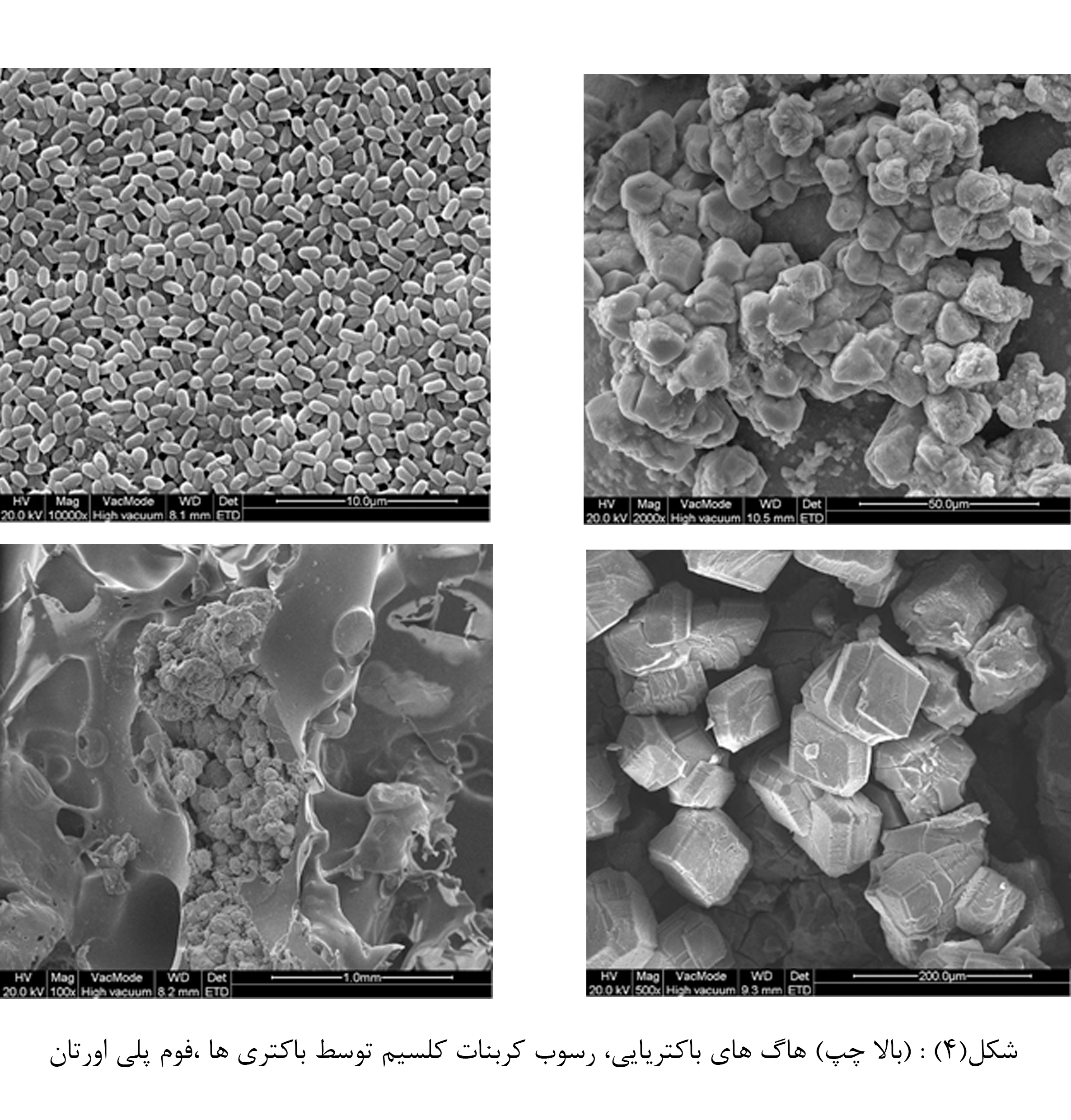 بتن خود ترمیم شونده